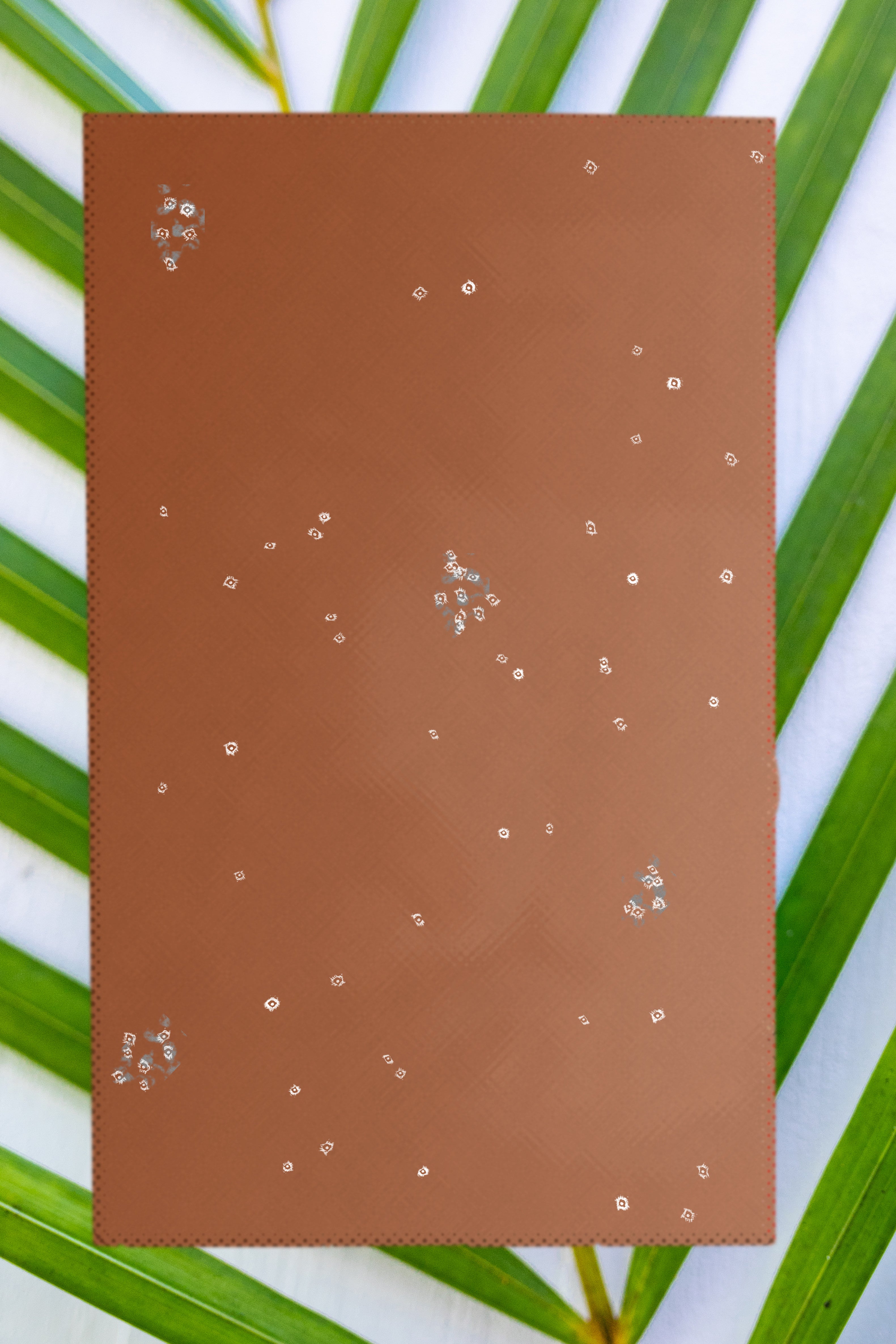 71% Hawai'i Cacao w/ EXTRA Alaea (Hawaiian Sea Salt)